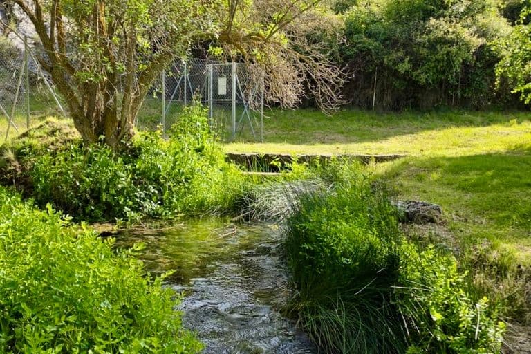 Manadero del río Pedro, manantial del que nace el cauce